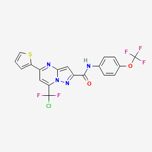 molecular formula C19H10ClF5N4O2S B3557475 7-[chloro(difluoro)methyl]-5-(2-thienyl)-N-[4-(trifluoromethoxy)phenyl]pyrazolo[1,5-a]pyrimidine-2-carboxamide 