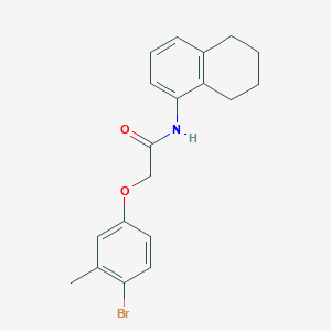 molecular formula C19H20BrNO2 B3559567 2-(4-bromo-3-methylphenoxy)-N-(5,6,7,8-tetrahydronaphthalen-1-yl)acetamide 