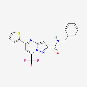 molecular formula C19H13F3N4OS B3559591 N-benzyl-5-(thiophen-2-yl)-7-(trifluoromethyl)pyrazolo[1,5-a]pyrimidine-2-carboxamide 