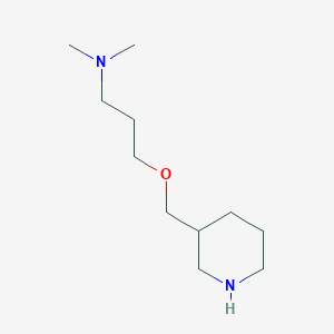 molecular formula C11H24N2O B356067 N,N-dimethyl-N-[3-(3-piperidinylmethoxy)propyl]amine CAS No. 868067-81-6