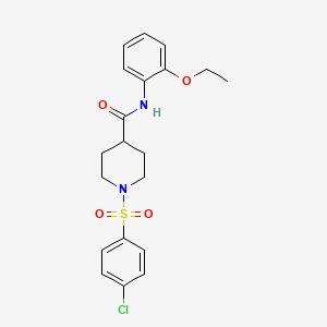 1-(4-CHLOROBENZENESULFONYL)-N-(2-ETHOXYPHENYL)PIPERIDINE-4-CARBOXAMIDE