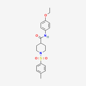 N-(4-ETHOXYPHENYL)-1-(4-METHYLBENZENESULFONYL)PIPERIDINE-4-CARBOXAMIDE