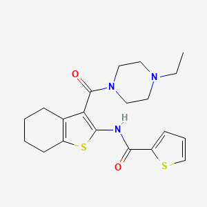 N-{3-[(4-ethyl-1-piperazinyl)carbonyl]-4,5,6,7-tetrahydro-1-benzothien-2-yl}-2-thiophenecarboxamide