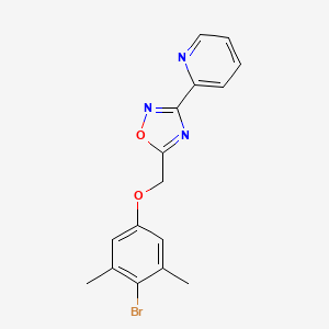 2-{5-[(4-bromo-3,5-dimethylphenoxy)methyl]-1,2,4-oxadiazol-3-yl}pyridine