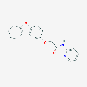 molecular formula C19H18N2O3 B356492 N-Pyridin-2-yl-2-(6,7,8,9-tetrahydro-dibenzofuran-2-yloxy)-acetamide CAS No. 674803-78-2