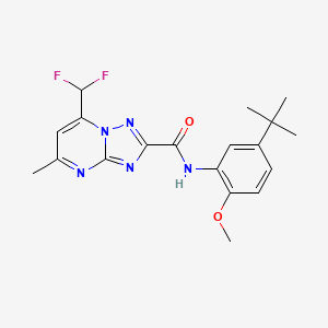 molecular formula C19H21F2N5O2 B3566356 N-(5-tert-butyl-2-methoxyphenyl)-7-(difluoromethyl)-5-methyl[1,2,4]triazolo[1,5-a]pyrimidine-2-carboxamide 