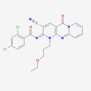 molecular formula C24H19Cl2N5O3 B356649 2,4-dichloro-N-[3-cyano-1-(3-ethoxypropyl)-5-oxo-1,5-dihydro-2H-dipyrido[1,2-a:2,3-d]pyrimidin-2-ylidene]benzamide CAS No. 848683-13-6