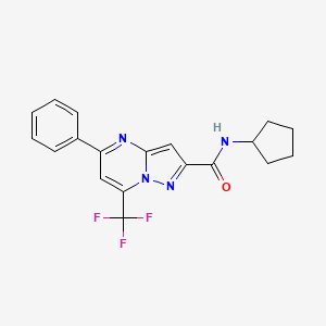 molecular formula C19H17F3N4O B3568264 N-cyclopentyl-5-phenyl-7-(trifluoromethyl)pyrazolo[1,5-a]pyrimidine-2-carboxamide 