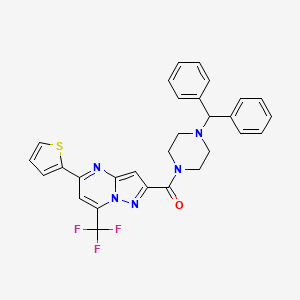 molecular formula C29H24F3N5OS B3568587 2-{[4-(diphenylmethyl)-1-piperazinyl]carbonyl}-5-(2-thienyl)-7-(trifluoromethyl)pyrazolo[1,5-a]pyrimidine 