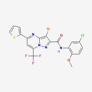 molecular formula C19H11BrClF3N4O2S B3568652 3-bromo-N-(5-chloro-2-methoxyphenyl)-5-(2-thienyl)-7-(trifluoromethyl)pyrazolo[1,5-a]pyrimidine-2-carboxamide 