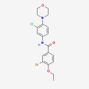 3-bromo-N-[3-chloro-4-(morpholin-4-yl)phenyl]-4-ethoxybenzamide