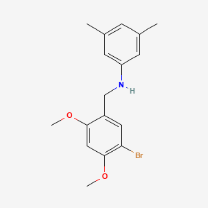 N-(5-BROMO-2,4-DIMETHOXYBENZYL)-N-(3,5-DIMETHYLPHENYL)AMINE