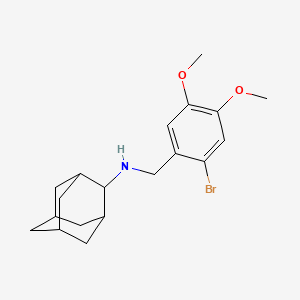 molecular formula C19H26BrNO2 B3572552 N-(2-adamantyl)-N-(2-bromo-4,5-dimethoxybenzyl)amine 