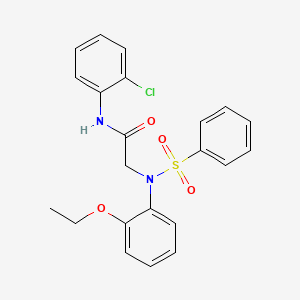 N-(2-CHLOROPHENYL)-2-[N-(2-ETHOXYPHENYL)BENZENESULFONAMIDO]ACETAMIDE