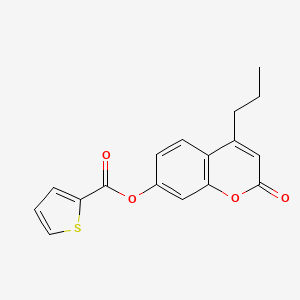 2-oxo-4-propyl-2H-chromen-7-yl thiophene-2-carboxylate