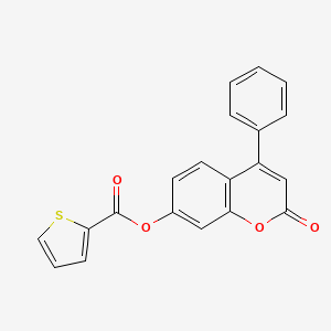 2-oxo-4-phenyl-2H-chromen-7-yl thiophene-2-carboxylate