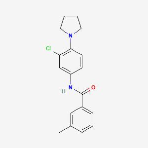 N-(3-chloro-4-pyrrolidin-1-ylphenyl)-3-methylbenzamide