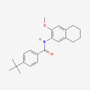 4-tert-butyl-N-(3-methoxy-5,6,7,8-tetrahydro-2-naphthalenyl)benzamide