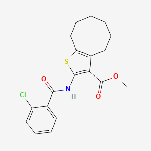 molecular formula C19H20ClNO3S B3577141 METHYL 2-(2-CHLOROBENZAMIDO)-4H,5H,6H,7H,8H,9H-CYCLOOCTA[B]THIOPHENE-3-CARBOXYLATE 