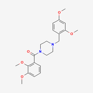 1-(2,3-DIMETHOXYBENZOYL)-4-[(2,4-DIMETHOXYPHENYL)METHYL]PIPERAZINE