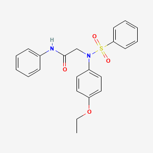 N~2~-(Benzenesulfonyl)-N~2~-(4-ethoxyphenyl)-N-phenylglycinamide