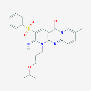 molecular formula C24H26N4O4S B358154 2-imino-1-(3-isopropoxypropyl)-8-methyl-3-(phenylsulfonyl)-1,2-dihydro-5H-dipyrido[1,2-a:2,3-d]pyrimidin-5-one CAS No. 847337-70-6