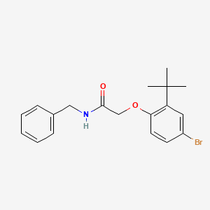 N-benzyl-2-(4-bromo-2-tert-butylphenoxy)acetamide