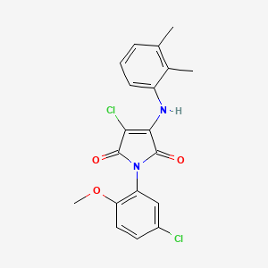 molecular formula C19H16Cl2N2O3 B3582564 3-chloro-1-(5-chloro-2-methoxyphenyl)-4-[(2,3-dimethylphenyl)amino]-1H-pyrrole-2,5-dione 