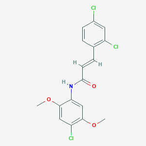 N-(4-chloro-2,5-dimethoxyphenyl)-3-(2,4-dichlorophenyl)acrylamide