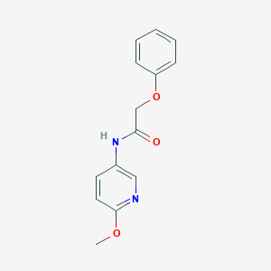molecular formula C14H14N2O3 B358368 N-(6-methoxypyridin-3-yl)-2-phenoxyacetamide CAS No. 287943-89-9