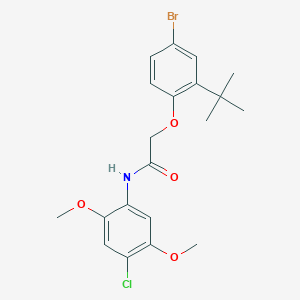 2-(4-bromo-2-tert-butylphenoxy)-N-(4-chloro-2,5-dimethoxyphenyl)acetamide