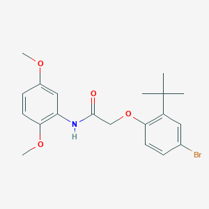 molecular formula C20H24BrNO4 B3584016 2-(4-bromo-2-tert-butylphenoxy)-N-(2,5-dimethoxyphenyl)acetamide 