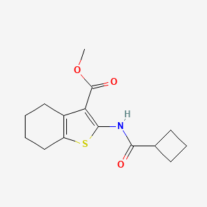 molecular formula C15H19NO3S B3590768 methyl 2-[(cyclobutylcarbonyl)amino]-4,5,6,7-tetrahydro-1-benzothiophene-3-carboxylate 