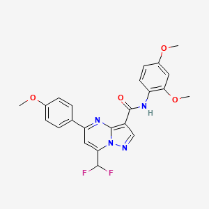 7-(DIFLUOROMETHYL)-N~3~-(2,4-DIMETHOXYPHENYL)-5-(4-METHOXYPHENYL)PYRAZOLO[1,5-A]PYRIMIDINE-3-CARBOXAMIDE