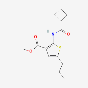 methyl 2-[(cyclobutylcarbonyl)amino]-5-propyl-3-thiophenecarboxylate