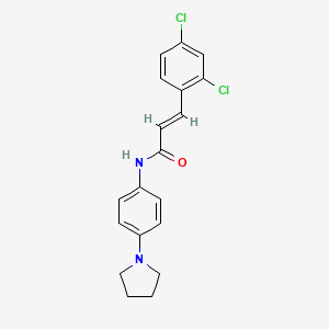 molecular formula C19H18Cl2N2O B3595877 3-(2,4-dichlorophenyl)-N-[4-(1-pyrrolidinyl)phenyl]acrylamide 