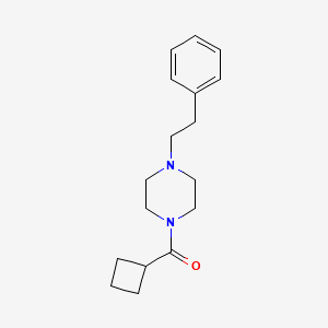 molecular formula C17H24N2O B3596838 1-(cyclobutylcarbonyl)-4-(2-phenylethyl)piperazine 