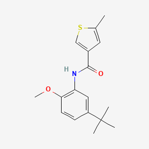 N-(5-tert-butyl-2-methoxyphenyl)-5-methylthiophene-3-carboxamide