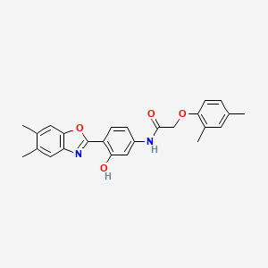 N-[4-(5,6-dimethyl-1,3-benzoxazol-2-yl)-3-hydroxyphenyl]-2-(2,4-dimethylphenoxy)acetamide