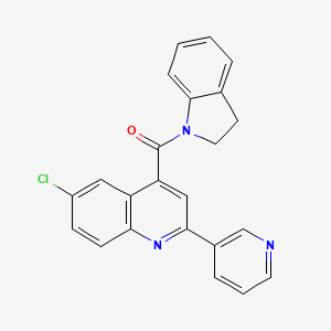 molecular formula C23H16ClN3O B3605187 6-chloro-4-(2,3-dihydro-1H-indol-1-ylcarbonyl)-2-(3-pyridinyl)quinoline 