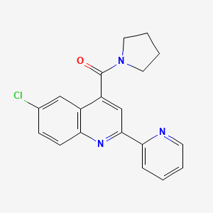 molecular formula C19H16ClN3O B3608630 6-chloro-2-(2-pyridinyl)-4-(1-pyrrolidinylcarbonyl)quinoline 