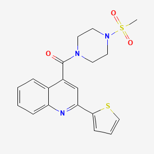 4-{[4-(methylsulfonyl)-1-piperazinyl]carbonyl}-2-(2-thienyl)quinoline