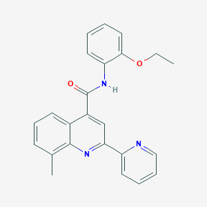 N-(2-ethoxyphenyl)-8-methyl-2-(pyridin-2-yl)quinoline-4-carboxamide