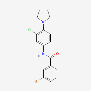 molecular formula C17H16BrClN2O B3614238 3-bromo-N-[3-chloro-4-(pyrrolidin-1-yl)phenyl]benzamide 