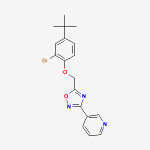 3-{5-[(2-bromo-4-tert-butylphenoxy)methyl]-1,2,4-oxadiazol-3-yl}pyridine