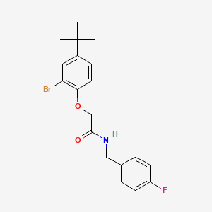 2-(2-bromo-4-tert-butylphenoxy)-N-(4-fluorobenzyl)acetamide