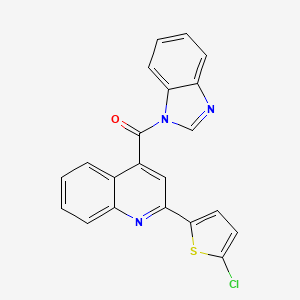 molecular formula C21H12ClN3OS B3621688 1H-1,3-BENZIMIDAZOL-1-YL[2-(5-CHLORO-2-THIENYL)-4-QUINOLYL]METHANONE 