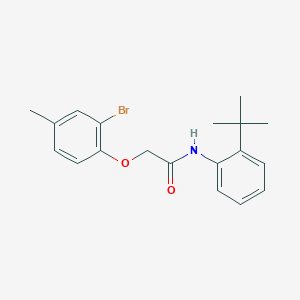 2-(2-bromo-4-methylphenoxy)-N-(2-tert-butylphenyl)acetamide