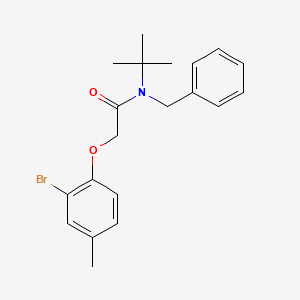 N-benzyl-2-(2-bromo-4-methylphenoxy)-N-tert-butylacetamide