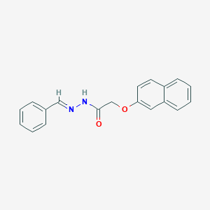 molecular formula C19H16N2O2 B362844 N'-benzylidene-2-(2-naphthyloxy)acetohydrazide CAS No. 1443751-73-2